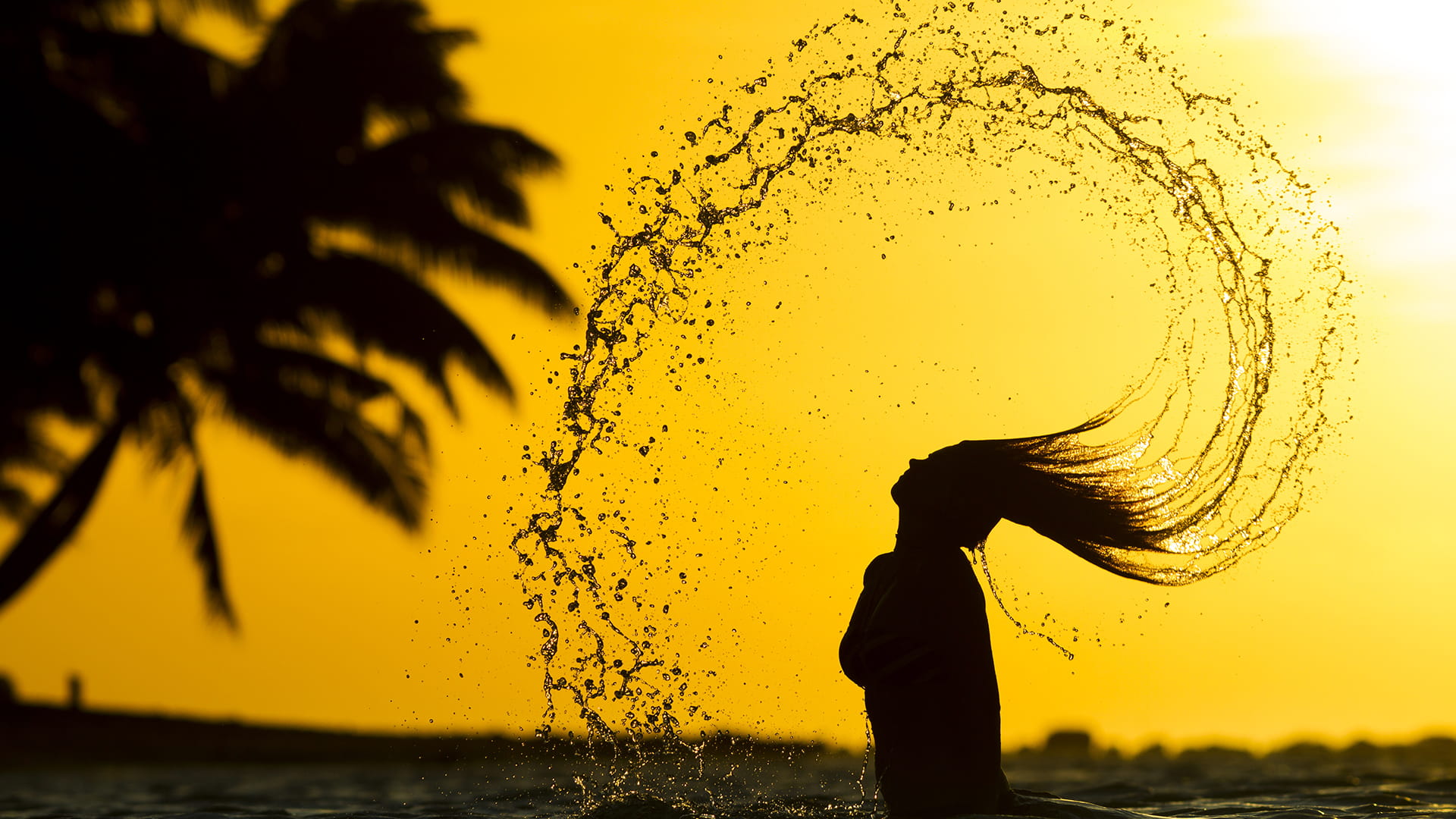 Silhouette of a woman flipping her hair with water splashing against a golden sunset.