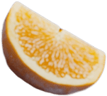 A close-up of an orange slice with detailed pulp and rind.